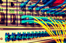 Switches / Routers